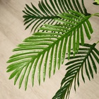 Дерево искусственное «Пальма», h=79 см 1659276