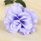 Цветы искусственные "Роза" волнистый край, 10*53 см, сиреневая - Фото 2