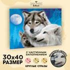 Алмазная мозаика с частичным заполнением «Волки», 30 х 40 см. Набор для творчества - Фото 1