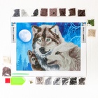 Алмазная мозаика с частичным заполнением «Волки», 30 х 40 см. Набор для творчества - фото 24603504