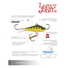 Балансир Lucky John Baltic 4, 4 см, 10 г, цвет 201 - Фото 6