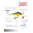 Балансир Lucky John Baltic 4, 4 см, 10 г, цвет 201 - Фото 8