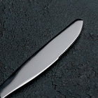 Нож столовый «Уралочка», h=19,5 см, толщина 2 мм, цвет серебряный - Фото 3