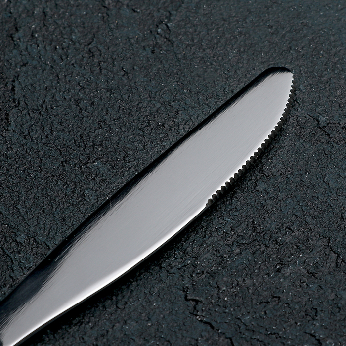 Нож столовый «Уралочка», h=19,5 см, толщина 2 мм, цвет серебряный - фото 1889177834