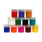 Гуашь 12 цветов х 20 мл, ErichKrause, УФ-защита яркости, в картонной упаковке - Фото 9