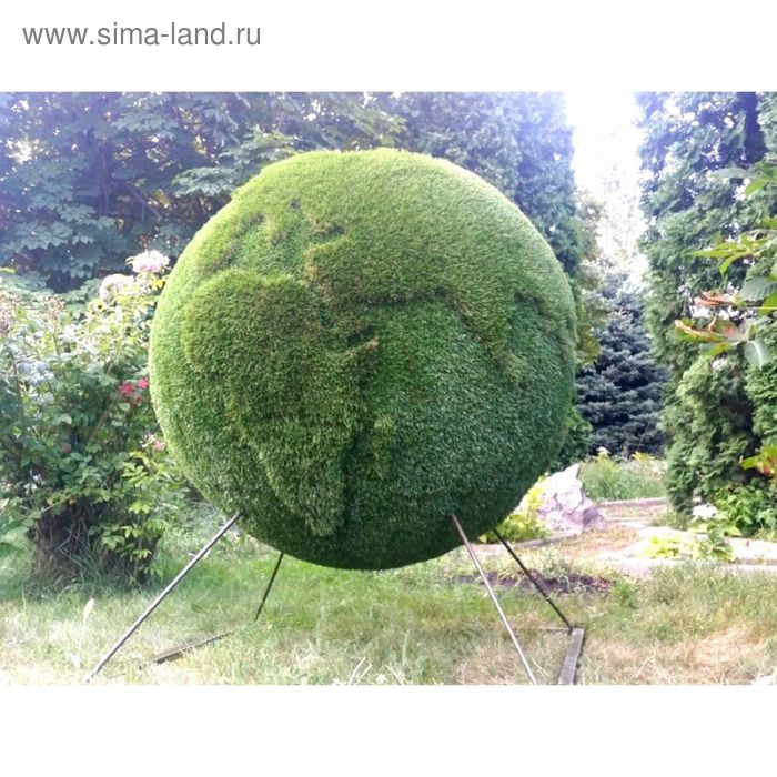 Топиар фигура "Земной шар" - Фото 1