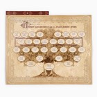 Родословная книга с рамкой под фото «Родословная книга», 50 листов, 21.5×23.7 см - Фото 14