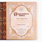 Родословная книга с рамкой под фото «Родословная книга», 50 листов, 21.5×23.7 см - Фото 6