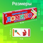 Домино «Изучаем цвета», пластик, 28 деталей - Фото 4