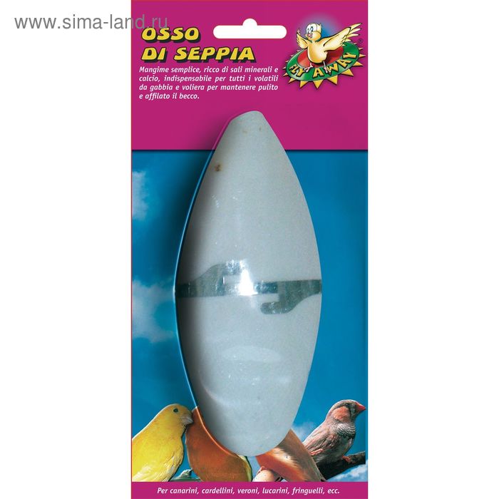 Панцирь каракатицы для птиц, с держателем, 12 см, блистер - Фото 1