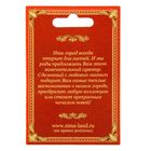 Магнит «Новосибирск» - Фото 4