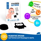 Настольная игра для новорожденных «Черно-белые картинки», 20 карт А5, 0+ - Фото 1