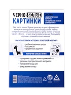 Настольная игра для новорожденных «Черно-белые картинки», 20 карт А5, 0+ - Фото 4