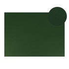 Картон цветной Sadipal Sirio двусторонний: текстурный/гладкий, 700 х 500 мм, Sadipal Fabriano Elle Erre, 220 г/м, зеленый темный - Фото 1