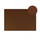 Картон цветной Sadipal Sirio двусторонний: текстурный/гладкий, 700 х 500 мм, Sadipal Fabriano Elle Erre, 220 г/м, коричневый - Фото 1