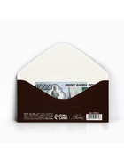 Конверт для денег «Побед на всех фронтах», 16.5×8 см - Фото 3