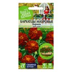 Семена цветов Бархатцы "Кармен", ц/п, О, 0,2 г. - Фото 1