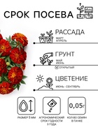 Семена цветов Бархатцы «Кармен», 0.2 г, «Семена Алтая» - Фото 2