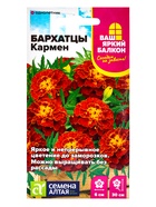 Семена цветов Бархатцы "Кармен", ц/п,  О, 0,2 г. - Фото 3