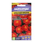 Семена цветов Бархатцы «Красная Вишня», ц/п, О, 0.2 г - Фото 1