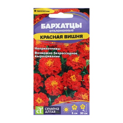 Семена цветов Бархатцы «Красная Вишня», ц/п, О, 0.2 г