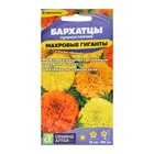 Семена цветов Бархатцы «Махровые Гиганты», ц/п, О, 0.2 г - Фото 1
