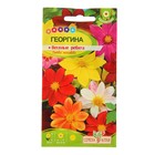 Семена цветов Георгина "Веселые Ребята", ц/п,  О, 0,2 г. - Фото 3
