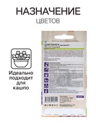 Семена комнатных цветов Цикламен "Аполлон", ц/п, 3 шт. - Фото 3