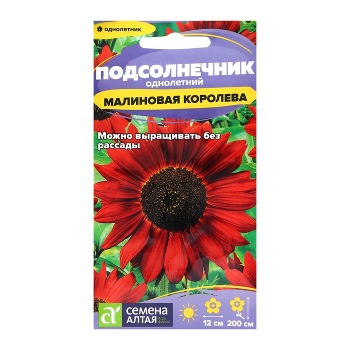 Семена цветов Подсолнечник «Малиновая Королева», 0.3 г, «Семена Алтая» - Фото 1