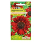 Семена цветов Подсолнечник «Малиновая Королева», 0.3 г, «Семена Алтая» - Фото 3