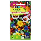 Семена цветов Смесь "Цветущий забор", ц/п, 0,5 г - Фото 1