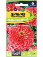Семена цветов Цинния "Волшебная Роза", ц/п,  О, ц/п, 0,3 г. 1770376 - фото 16211700
