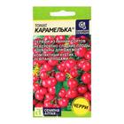 Семена Томат "Карамелька", раннеспелый, цп,детерминантный,низкорослый, 0,05 г. - Фото 1