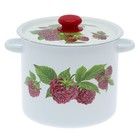 Кастрюля, 5.5 л, декор МИКС - фото 60767412