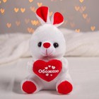 Мягкая игрушка «Обожаю», зайчик, с сердечком, 17 см - Фото 2