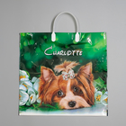 Пакет «Шарлотта», полиэтиленовый с пластиковой ручкой, 38×35 см, 90 мкм - Фото 1