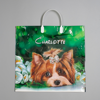 Пакет «Шарлотта», полиэтиленовый с пластиковой ручкой, 38×35 см, 90 мкм