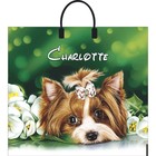 Пакет «Шарлотта», полиэтиленовый с пластиковой ручкой, 38×35 см, 90 мкм - Фото 3