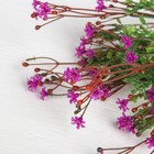 Букет "Мелкие цветы" 30 см микс - Фото 3