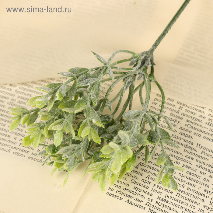 Букет искусственный «Зелень», с напылением, 22 см (цена за 1 шт., фасовка 6 шт.) - Фото 1