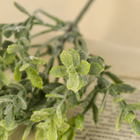 Букет искусственный «Зелень», с напылением, 22 см (цена за 1 шт., фасовка 6 шт.) - Фото 2