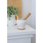 Букет искусственный «Зелень», с напылением, 22 см (цена за 1 шт., фасовка 6 шт.) - Фото 3