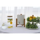 Букет искусственный «Зелень», с напылением, 22 см (цена за 1 шт., фасовка 6 шт.) - Фото 4