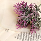 Букет искусственный «Двухцветная травка», с напылением, 18 см, МИКС - Фото 2