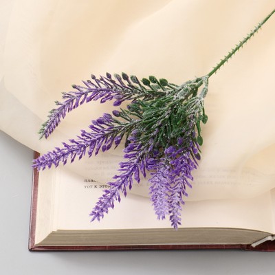 Букет искусственный «Трава пирамидальная», с напылением, 18 см, МИКС