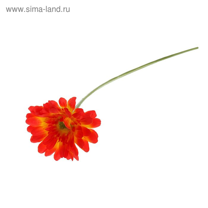 Цветы искусственные "Гербера Искра" 9*50 см, оранжевая - Фото 1