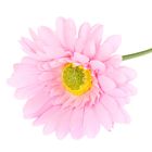 Цветы искусственные "Гербера Искра" 9*50 см, розовая - Фото 2