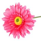 Цветы искусственные "Гербера Искра" 9*50 см, малиновая - Фото 2