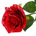 Цветы искусственные "Роза тигр" 8*55 см, красная - Фото 2