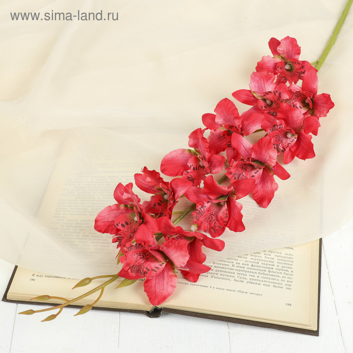 Цветы искусственные "Орхидея Загадка" 7*90 см, красный - Фото 1